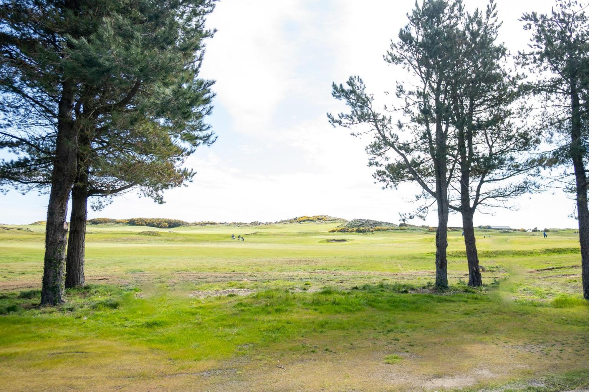 Golf Links Cottage - Views Of Royal County Down นิวคาสเซิล ภายนอก รูปภาพ